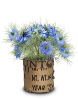 Seeds & Bee flowers nigelle - afbeelding 2