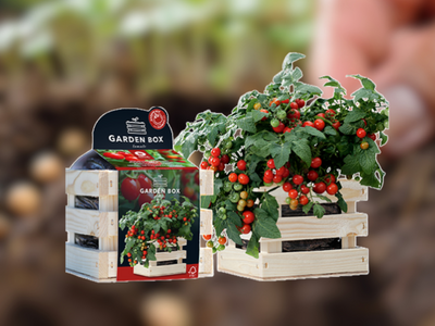 Seeds & Garden box