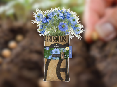 Seeds & Hangtuintje