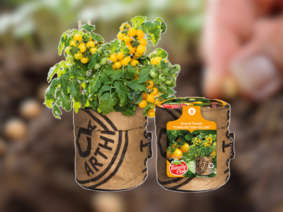 Seeds & Tomatoes
