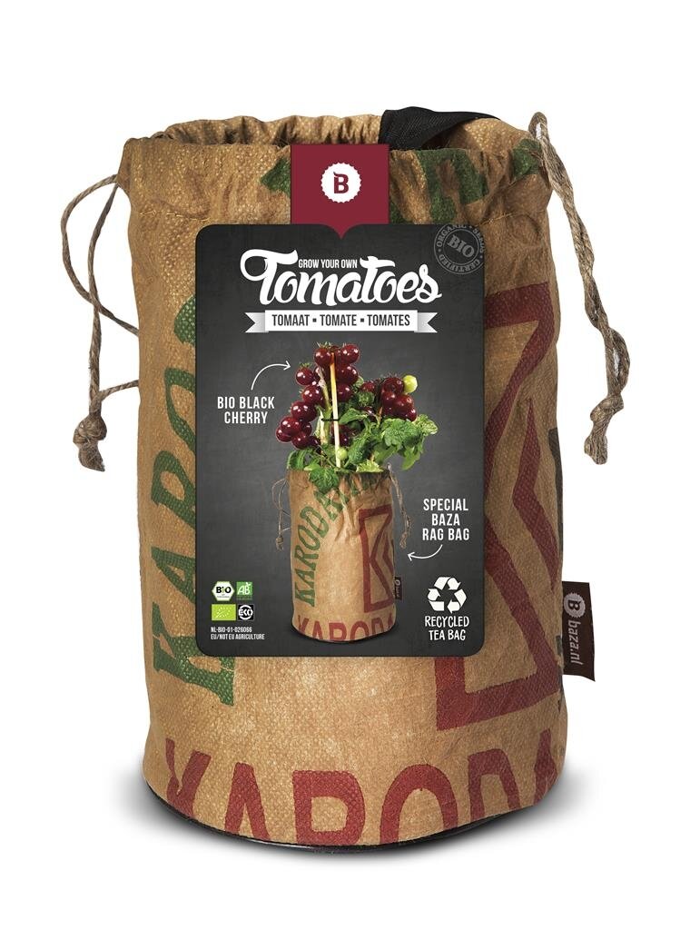 Seeds & Tomatoes rags bio black cherry