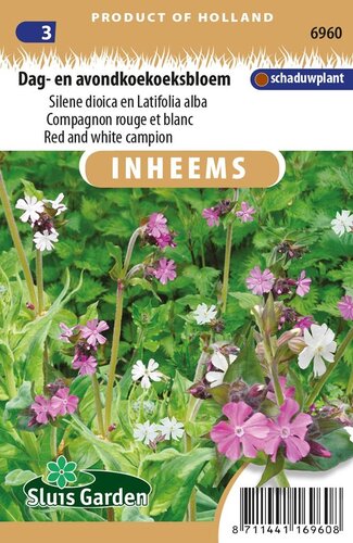 Inheemse Silene dioica en latifolia Dag- en avondkoekoeksbloem zaden