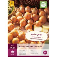 Sjalotten golden gourmet