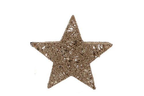 Ster met 20 lampjes goud 30 cm