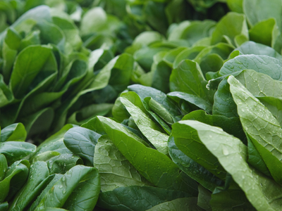 Spinazie