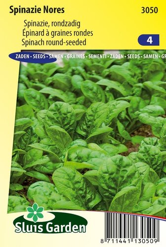 Spinazie zaden Nores