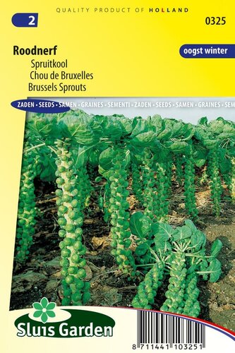 Spruitkool zaden Roodnerf