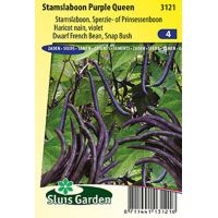 Stamslaboon Purple Queen