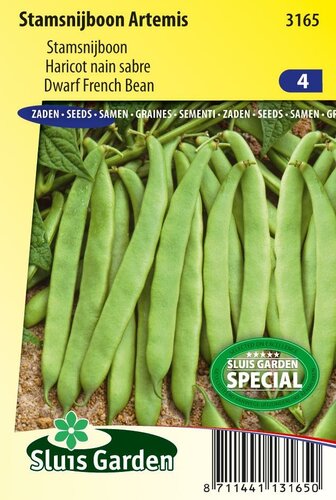 Stamsnijboon zaden Artemis