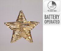 Verlichte ster 30 cm 20 lampjes