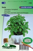 Stevia zaden Honingplant