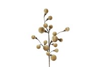 Countryfield zijden tak miro 60 cm beige