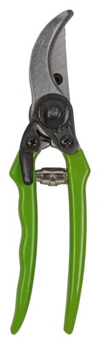 Talen tools snoeischaar budget