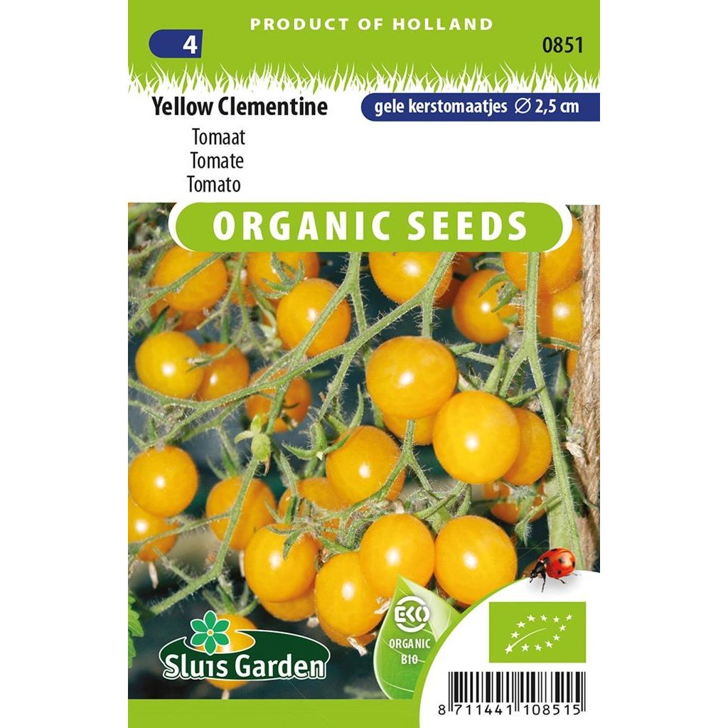 Tomaat Yellow Clementine BIO