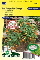 Tomaat zaden Tiny Temptations Orange F1 snacktomaat