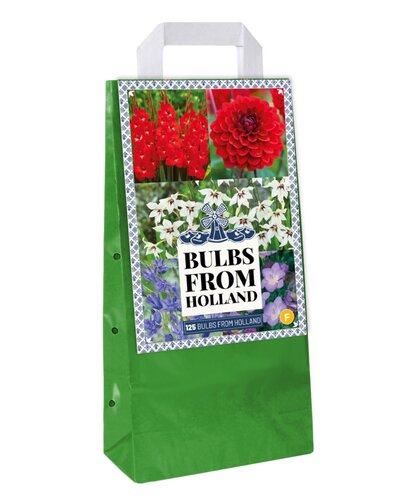 Tas bulbs from holland 125 bollen