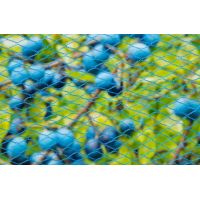 Nature tuinnet nano blauw 10x4 meter