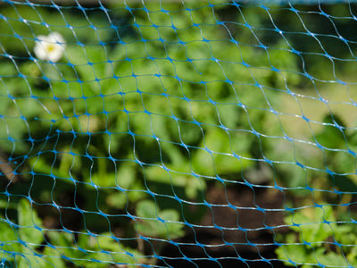 Tuinnetten