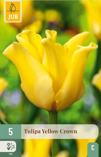 Tulp Yellow crown 5 bollen - afbeelding 1