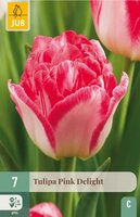 Tulp pink delight 7 bollen