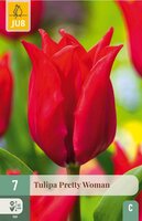 Tulp pretty woman 7 bollen