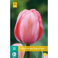 Tulp design impression 10 bollen - afbeelding 1