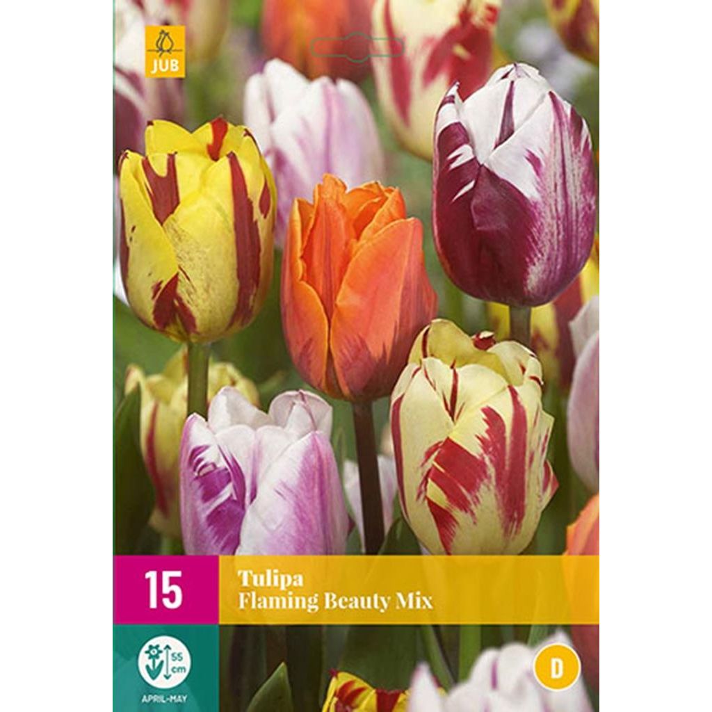 Jub Holland - bloembollen - Tulpen Flaming Beauty Mix - maat 11/12 - 15 stuks