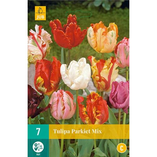 Tulp parkiet mix 7 bollen