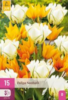 Tulp sunbath 15 bollen