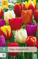 Tulipa triumph mix 7 stuks