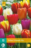 Tulipa triumph mix 10 stuks