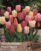 Prins tulpen pastel mix 25 bollen
