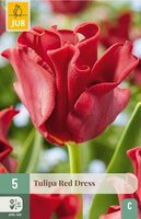 Tulp crown red dress 5 bollen