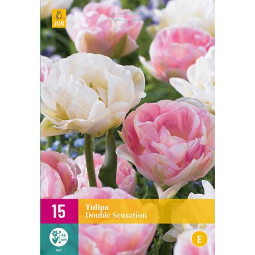 Tulp double Sensation 15 bollen