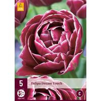 Tulp Dream Touch 5 bollen