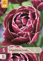 TULIPA DREAM TOUCH