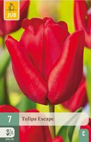 Tulp Escape 7 bollen - afbeelding 2