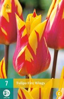 Tulp fire wings 7 bollen - afbeelding 1