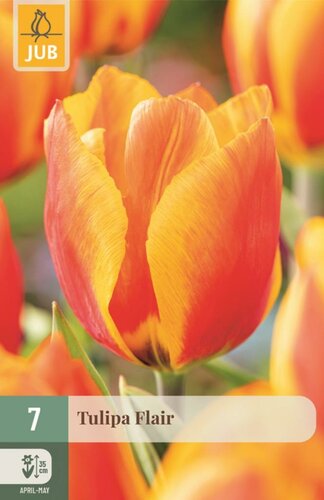 Tulp Flair 7 bollen - afbeelding 1