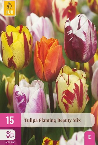 Tulp flaming beauty mix 15 bollen