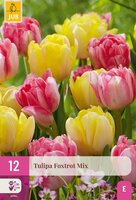 Tulp foxtrot mix 12 bollen
