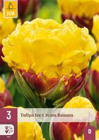 Tulp ice cream banana 3 bollen
