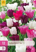 Tulp pastel mix 12 bollen