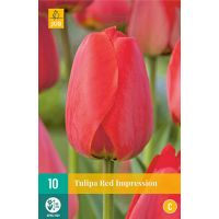 Tulp Red Impression 10 bollen