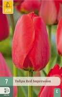 TULIPA RED IMPRESSION
