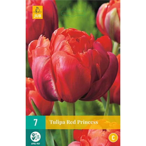 Tulp Red Princess 7 bollen