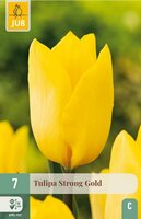 Tulp strong gold 7 bollen - afbeelding 2
