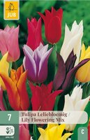 Tulpen leliebloemig mix 7 bollen