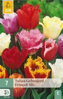 Tulpenbollen gefranjerd mix 7 bollen