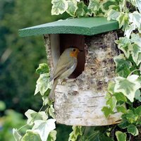 VBN Berken nestkast half open